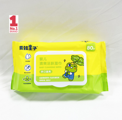 OEM Logo Hand Sanitizing Wet Wipes privato 50pcs senza alcool