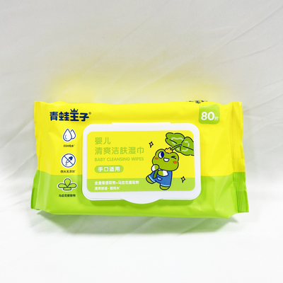 OEM Logo Hand Sanitizing Wet Wipes privato 50pcs senza alcool