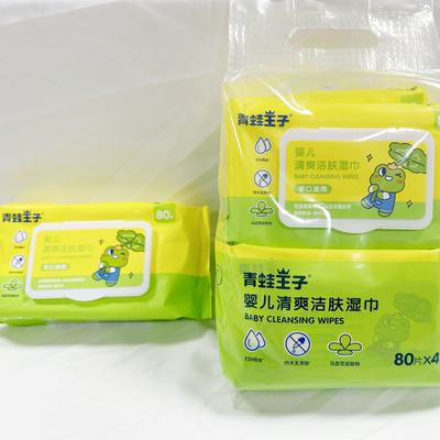 OEM Logo Hand Sanitizing Wet Wipes privato 50pcs senza alcool