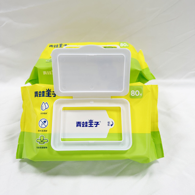 OEM Logo Hand Sanitizing Wet Wipes privato 50pcs senza alcool
