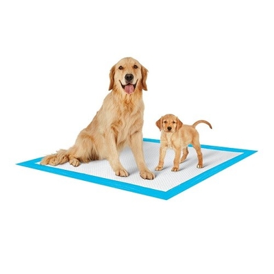L'animale domestico eliminabile all'aperto dell'interno molle di Nowoven riempie il cotone 100%