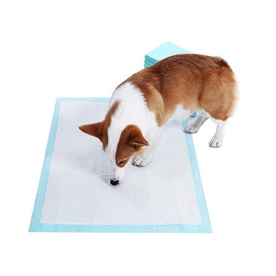 L'animale domestico eliminabile all'aperto dell'interno molle di Nowoven riempie il cotone 100%