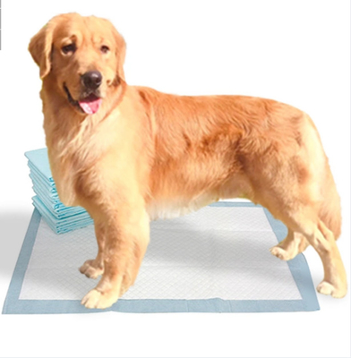 Grandi cuscinetti di formazione di bambù extra Pee Pads For Dogs eliminabile